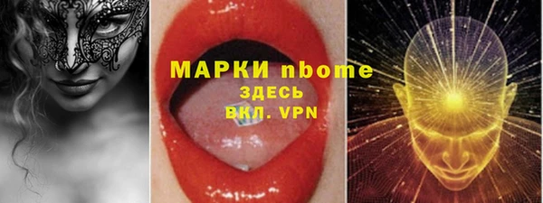 стаф Абаза