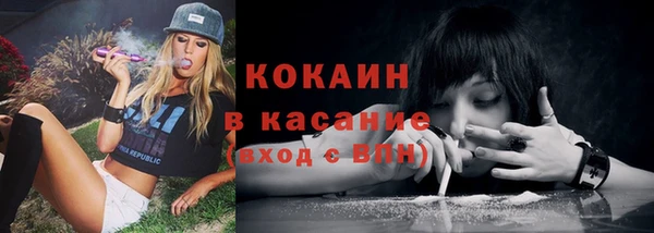 стаф Абаза