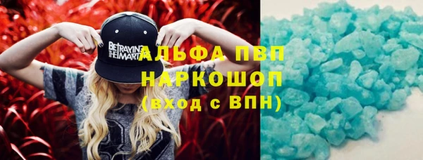 стаф Абаза