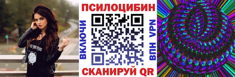 мега рабочий сайт  как найти закладки  Орск  Псилоцибиновые грибы Cubensis 