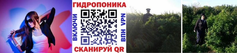 Бошки марихуана индика  Орск 